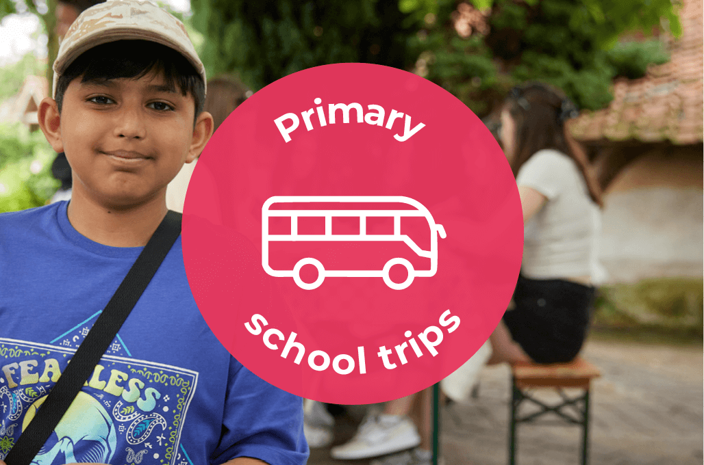 Primary School Trips